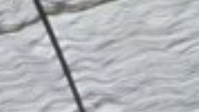 La "flor cadáver" en San Antonio.