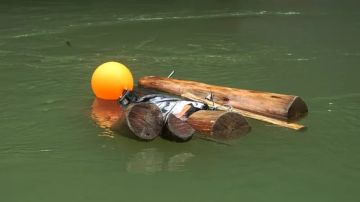 Al río La Miel, en el oeste de Colombia, se lanzó un "dummy" hecho de madera con la idea de realizar las mediciones.