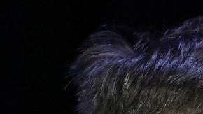 Elon Musk con una chaqueta oscura visto de perfil.