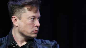 Elon Musk con una chaqueta oscura visto de perfil.