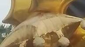 VIDEO: Emma Coronel, esposa del Chapo, cumplió años y así lo celebraron en calles de Sinaloa