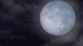 Dos esqueletos de plástico está de pie en un set arreglado de Halloween.