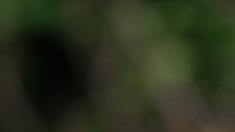 Héroes.