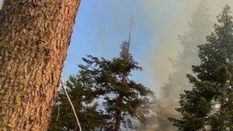 Las llamas son visibles cerca de la carretera en Yosemite National Park,