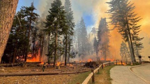 Las llamas son visibles cerca de la carretera en Yosemite National Park,