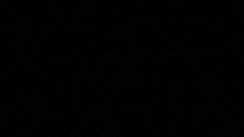 Luna nueva en Leo 2022: rituales para manifestar tus deseos más profundos