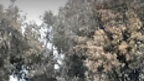 Casa Mark Zuckerberg