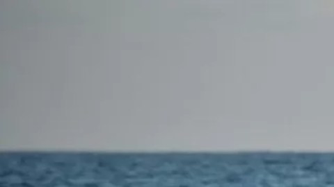 La Organización Internacional para las Migraciones (OIM), una agencia de la ONU, estima que desde 2014 casi 50,000 migrantes han muerto o desaparecido.