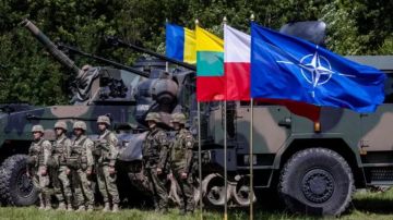 Soldados de varios países junto a una bandera de la OTAN.