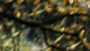 Imagen ilustrativa de un cementerio.