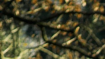 Imagen ilustrativa de un cementerio.