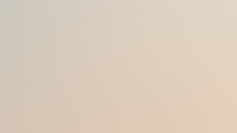 Alma y sentimientos.