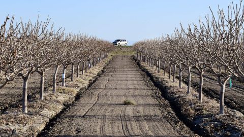 California enfrenta la peor sequía en años.