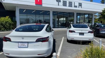 Imagen de varios autos de la marca Tesla en color blanco, estacionados frente a una distribuidora de la marca.