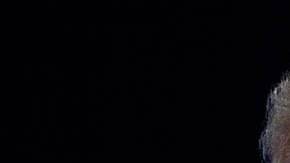 Juez está contemplando hacer pública la declaración jurada de Mar-a-Lago.