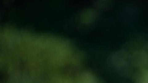 Biden indicó que el país tiene los procedimientos apropiados para protegerse ante la pérdida de vidas inocentes en el aire y en tierra.