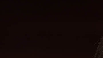 Nancy Pelosi dijo que si esos documentos es lo que parece ser, esto es muy serio.