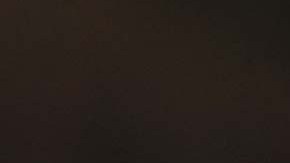 Cheney lanzará una organización para educar al pueblo estadounidense sobre la amenaza constante a la República.