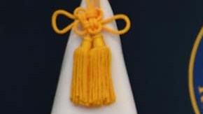 Nancy Pelosi y Kim Jin-pyo se comprometieron a mantener los esfuerzos de ambos gobiernos para la desnuclearización y la paz a través de la cooperación internacional y los diálogos diplomáticos.