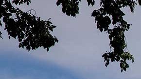 El presidente tiene nuevo asistente y la Casa Blanca Director de Gestión y Administración.