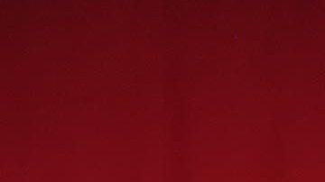 El alcalde Adams expresó que nadie puede obligarlos a renunciar a su anterior nacionalidad.