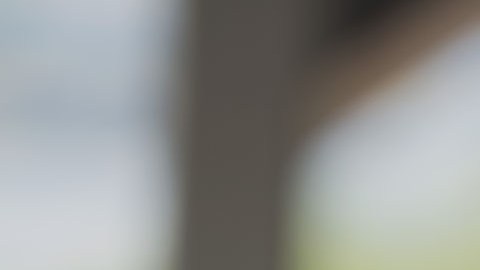 El demócrata a basado su campaña en leyes que controlen las armas.