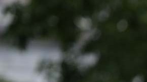 Peter Navarro fue arrestado por el FBI en junio.