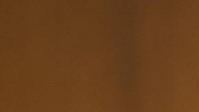 El senador de Texas, Ted Cruz.