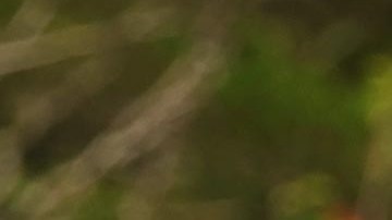 Según Eric Trump su padre redefinió el partido.