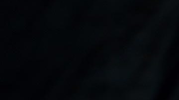 Después de seguir de forma obsesiva a Trump, ahora respalda al gobernador de Florida.