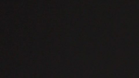 Paulina Rubio.