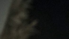 Pablo Montero en 'El Último Rey'.