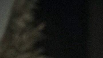 Pablo Montero en 'El Último Rey'.