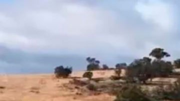 El raro hallazgo de restos de una cápsula de SpaceX en una granja de Australia