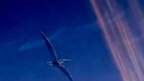 Cómo sobrevivieron nuestros ancestros al asteroide que mató a los dinosaurios