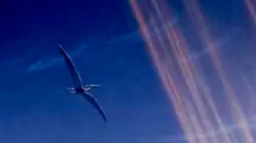 Cómo sobrevivieron nuestros ancestros al asteroide que mató a los dinosaurios