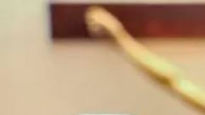 Un obispo arrestado, curas en prisión y sigilo del Vaticano: el conflicto entre el gobierno de Ortega y la Iglesia católica en Nicaragua