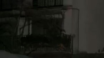 Cristina Fernández de Kirchner: las imágenes de los enfrentamientos entre seguidores de la vicepresidenta de Argentina y la policía