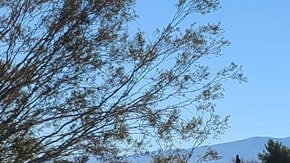 Residentes del área de Lake LA están cansados de vivir en medio de la basura. (Suministrada)