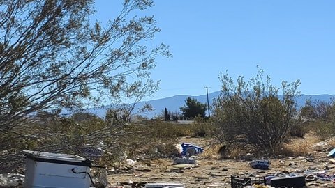 Residentes del área de Lake LA están cansados de vivir en medio de la basura. (Suministrada)