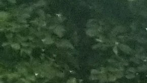 Los estudiantes han participado en viajes a otros estados. (Suministrada)