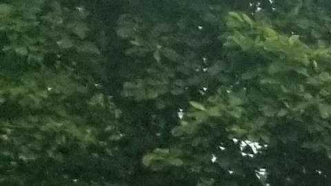 Los estudiantes han participado en viajes a otros estados. (Suministrada)