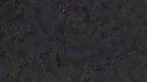 Belinda | Mezcalent.