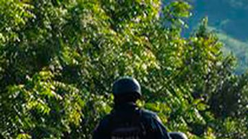 México: detienen a 164 supuestos miembros de un grupo armado