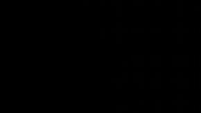 Elon Musk busca obtener pruebas del cofundador de Twitter