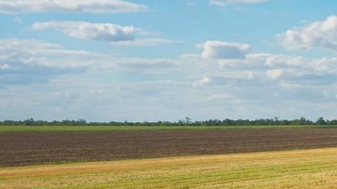 Ucrania acusa a Rusia de robarle entre 500.000 y 800.000 toneladas de grano