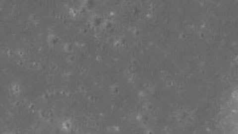 Descubren extrañas fosas lunares con temperaturas cómodas donde astronautas podrían sobrevivirDescubren extrañas fosas lunares con temperaturas cómodas donde astronautas podrían sobrevivir