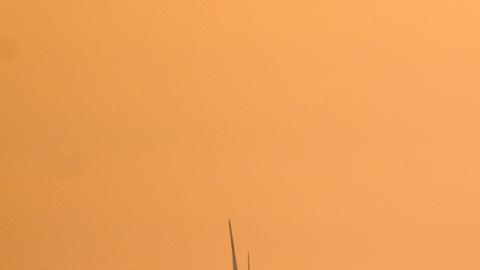 El mundo debe prepararse para los peores escenarios de "extinción" debido al cambio climático