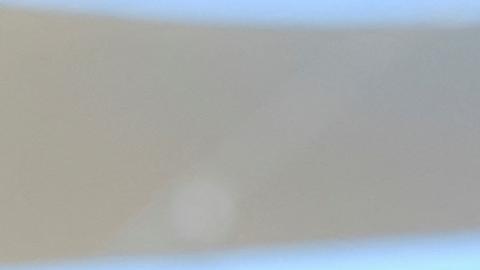 El 99% de las tortugas marinas nacen hembras por culpa del cambio climático, según expertos