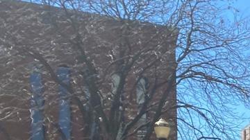 EE. UU.: expolicía se declara culpable de encubrir muerte de Breonna Taylor